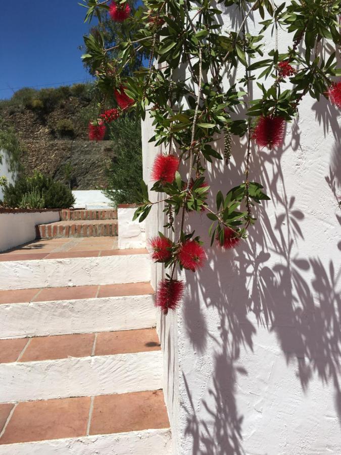 Apartments Cortijo La Zapatera Canillas de Aceituno Exterior foto